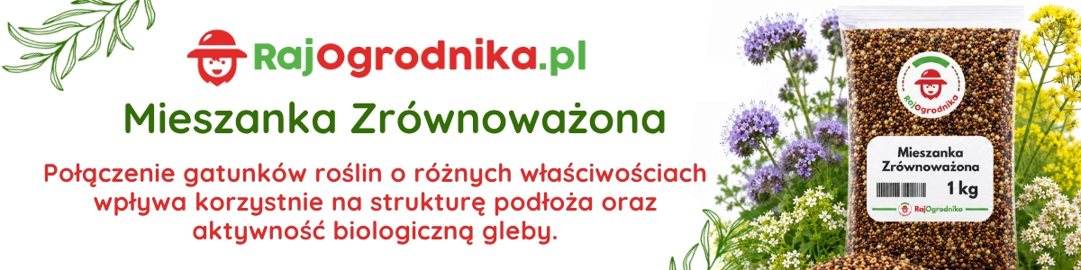 Baner mieszanka zrównoważona nasiona na poplon sklep rajogrodnika